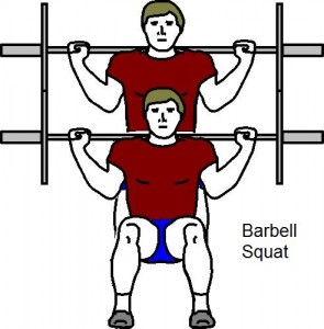 Barbell Squat Barbell Squat