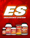 The Endurance System